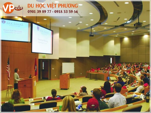 Trường luôn cung cấp chương trình học chất lượng tạo môi trường Mocbai10 trang chủ lý tưởng cho sinh viên