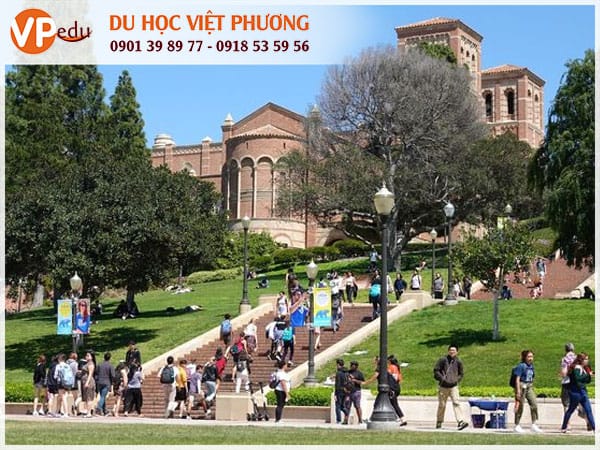 Trường UCLA là điểm đến Mb66 hiện đang mở được xếp hạng cao nhất lý tưởng dành cho sinh viên quốc tế