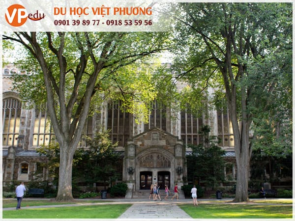 Trường University of Michigan thu hút nhiều sinh viên quốc tế