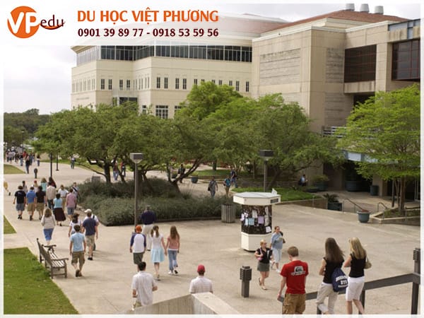 Môi trường chất lượng tại trường đại học Texas tại San Antonio