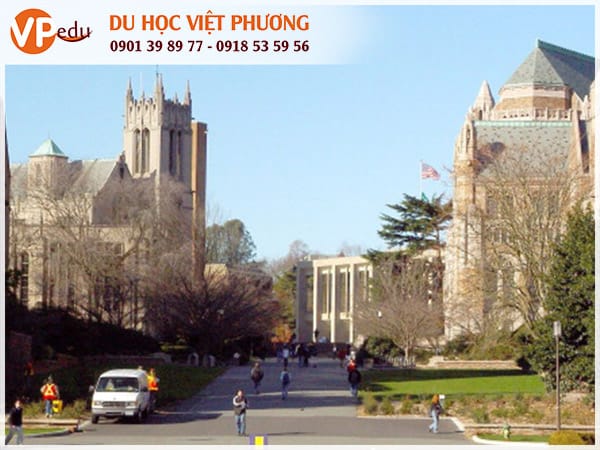 University of Washington là ngôi trường sinh viên ngành y không thể bỏ qua