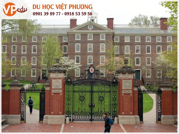Trường Brown University - Đại học hàng đầu nước Mỹ