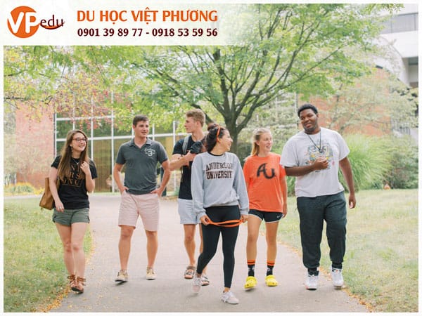 Nắm rõ các bước xin visa Mb66 hiện đang mở được xếp hạng cao nhất Mỹ - Nhanh chóng Mocbai10 trang chủ trong môi trường quốc tế