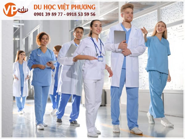 Top những trường đại học y nổi tiếng ở Mỹ dành cho sinh viên quốc tế