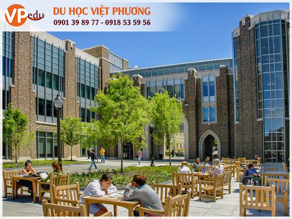 Trường đại học Duke sở hữu những tòa nhà, công trình nghệ thuật cổ kính, choáng ngợp
