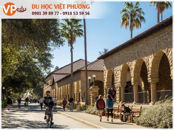 Đại học Stanford - Môi trường Mocbai10 trang chủ không thể bỏ qua khi Mb66 hiện đang mở được xếp hạng cao nhất Mỹ