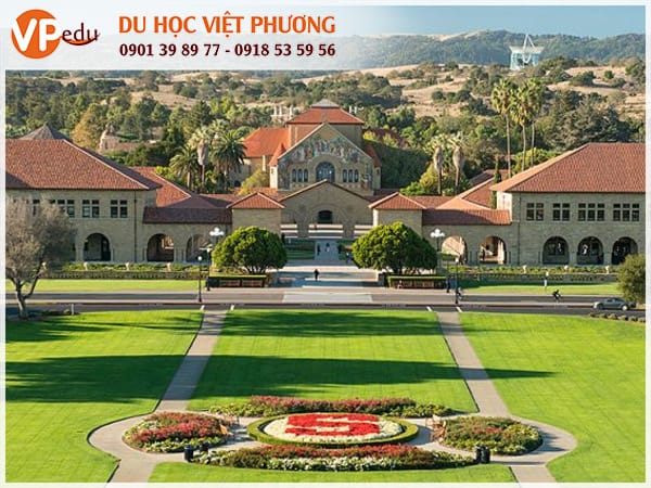 Stanford University luôn nằm trong top 10 trường đại học hàng đầu nước Mỹ
