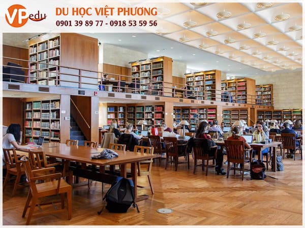 Thư viện hiện đại mang đến không gian học tốt nhất cho sinh viên
