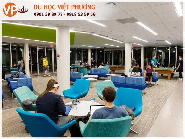 Trường đại học Bentley luôn tạo môi trường Mocbai10 trang chủ lý tưởng cho sinh viên