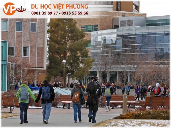 Đại học Brigham Young -  Ngôi trường dành cho sinh viên quốc tế