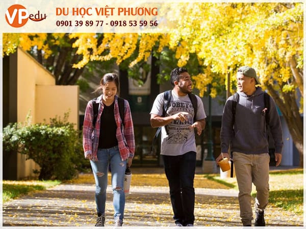 Môi trường đa văn hóa giúp sinh viên dễ dàng giao lưu và kết bạn