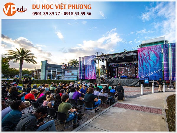 Chương trình học thực tế, cơ hội việc làm cao 