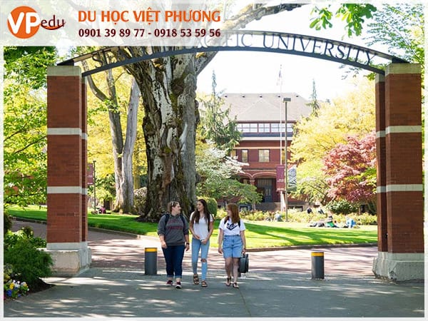 Đại học Seattle Pacific University -  Một trong những ngôi trường danh tiếng ở Mỹ bậc nhất ở Mỹ