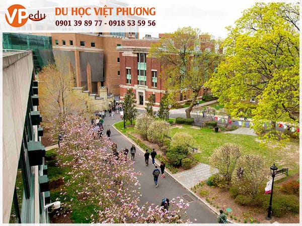 Mb66 không bị chặn Mỹ tại trường Stevens Institute of Technology