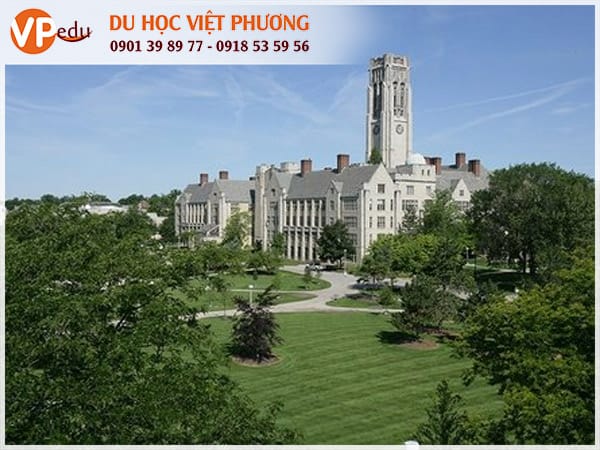 Trường University of Toledo: Đại học nghiên cứu ở Mỹ