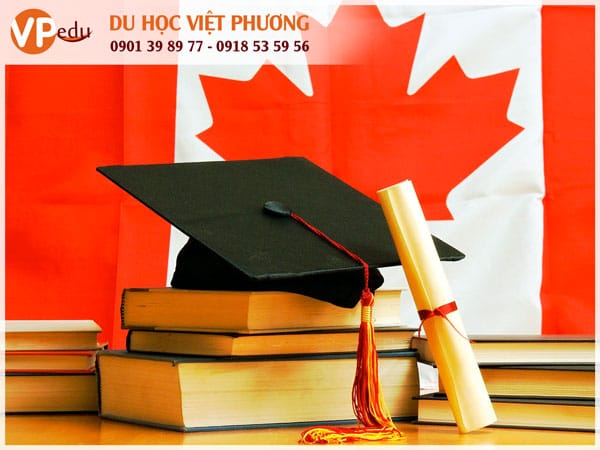 Canada không quan trọng thời điểm bạn Mb6651 chơi tài xỉu bằng app