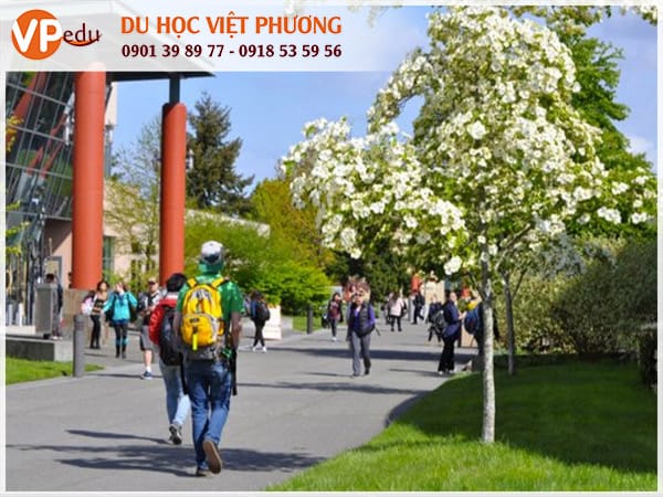 Môi trường học đa văn hóa, dễ dàng kết bạn, giao lưu với sinh viên quốc tế