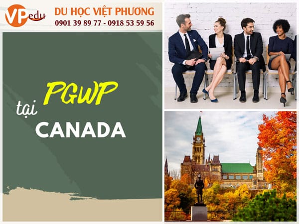 PGWP cho phép Mb66 hiện đang mở được xếp hạng cao nhất sinh dễ tìm việc tại Canada