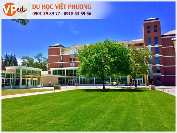 University of California - Davis luôn nằm trong top 6 trường đại học tốt nhất tại California