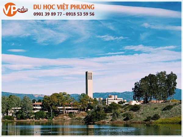 Trường University of California - Santa Barbara - Top 6 trường đại học tốt nhất tại California 