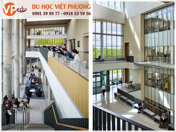 Trường đại học Texas - Môi trường Mocbai10 trang chủ tốt dành cho sinh viên quốc tế