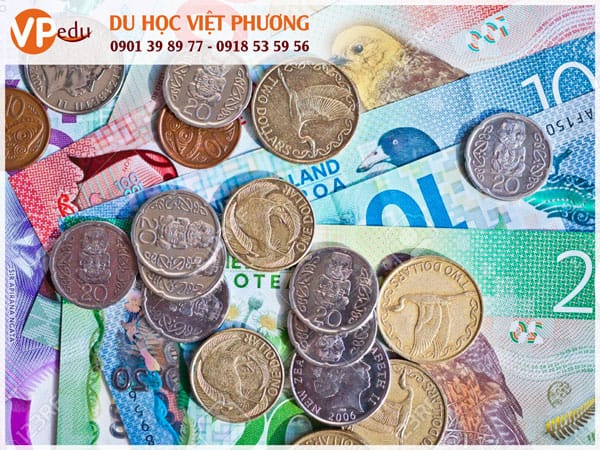 Học phí của William Colenso College khá phù hợp với học sinh Việt Nam
