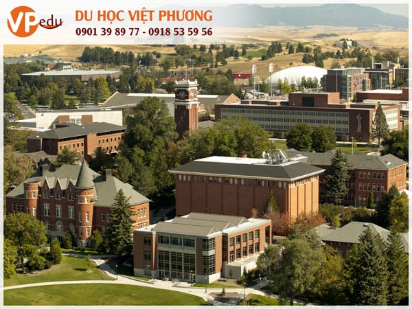 Không gian Mocbai10 trang chủ ở Washington State University khá thoải mái
