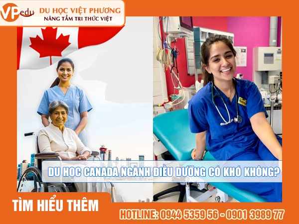 Mb66 không bị chặn Canada ngành điều dưỡng - Cơ hội rất rộng mở