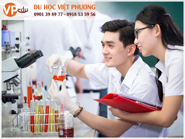 Mb66 không bị chặn Canada ngành dược