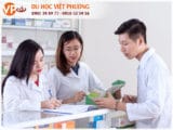 Mb66 không bị chặn ngành dược tại Canada
