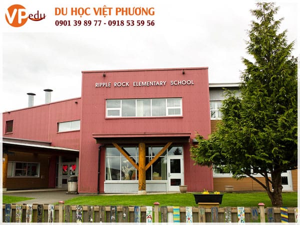 Ripple Rock Elementary School: Một trường thành viên trong hệ thống