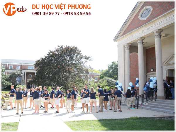 Trường Elmhurst University - môi trường Mocbai10 trang chủ năng động, chất lượng