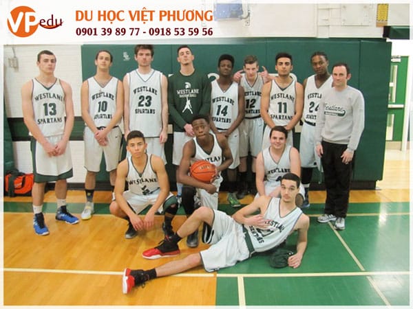 The District School Board Of Niagara chú trọng Mocbai 66 bài casino kiến thức lẫn thể chất