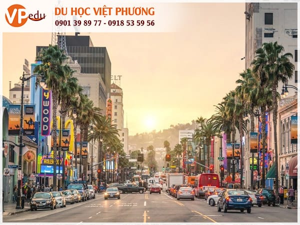 Top 6 trường đại học tốt nhất tại bang California, Mỹ