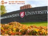 Washington State University