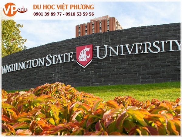 Washington State University