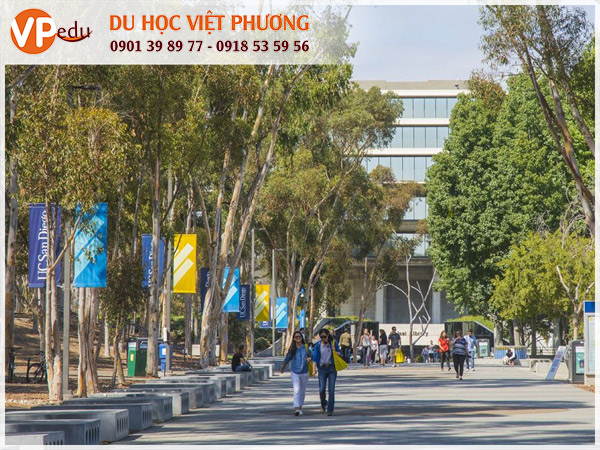 University of California San Diego - Ngôi trường thu hút hàng ngàn sinh viên quốc tế
