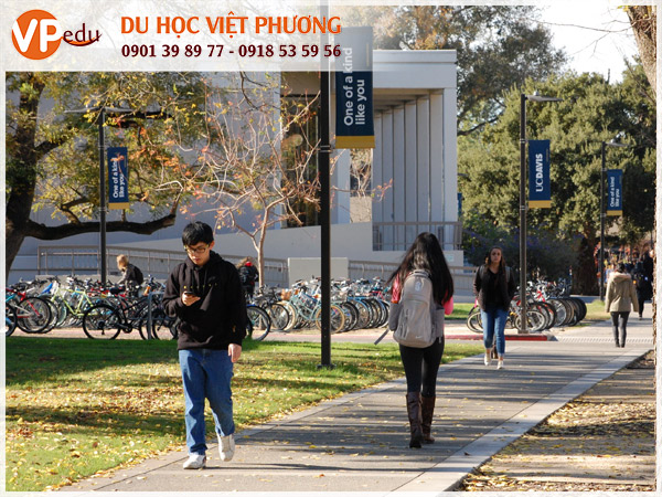 Khung cảnh tại University of California Davis