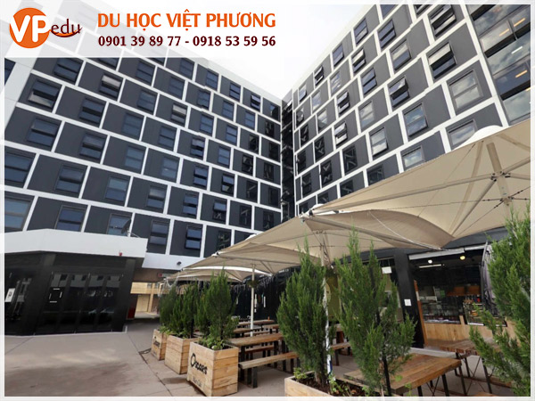 University of Canberra - Top 10 trường đại học hàng đầu ở Úc