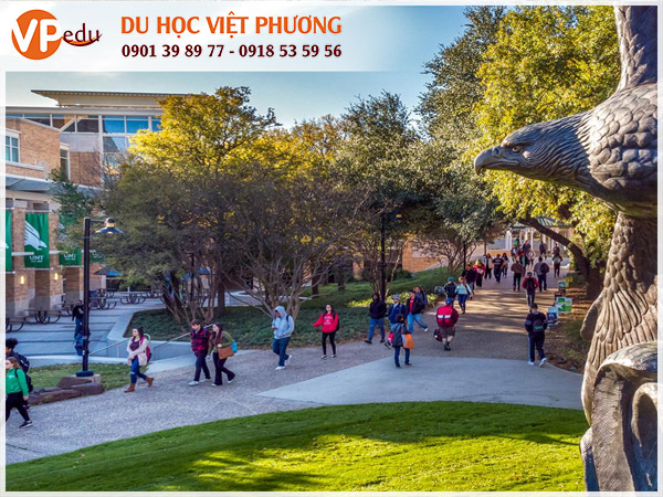 University of North Texas - trường đại học nghiên cứu công lập hàng đầu thế giới