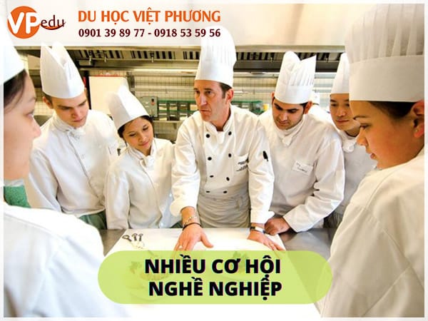Nghề Culinary với nhiều cơ hội nghề nghiệp và mức lương hấp dẫn