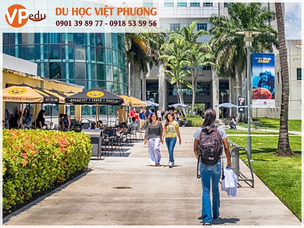 FIU trường đại học nghiên cứu hàng đầu tại Florida 