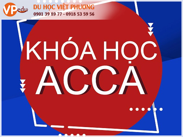 Học ACCA uy tín chất lượng tại LSBF Việt Nam