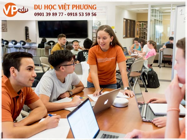 UT Austin: Môi trường Mocbai10 trang chủ lý tưởng