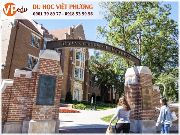 Đại học Florida: ngôi trường hàng đầu dành cho những bạn theo học lĩnh vực Y khoa