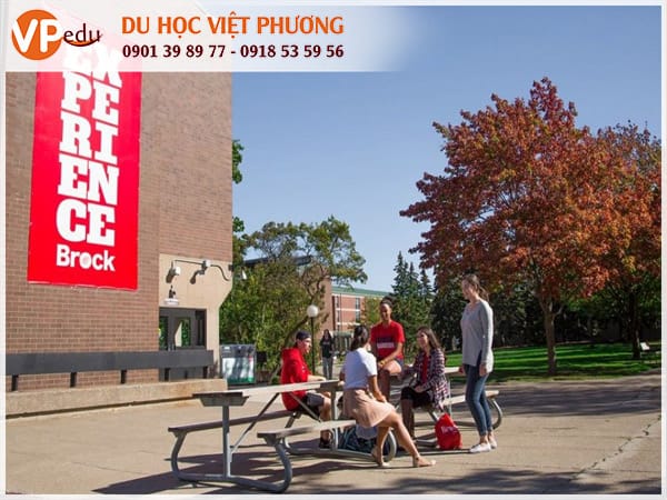 Brock University - môi trường Mocbai10 trang chủ lý thân thiện, năng động, sáng tạo