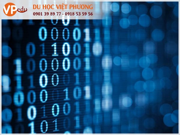 Ngành Công nghệ thông tin vẫn luôn là ngành hot