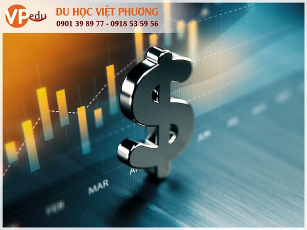 Tài chính là ngành luôn khát nguồn nhân lực