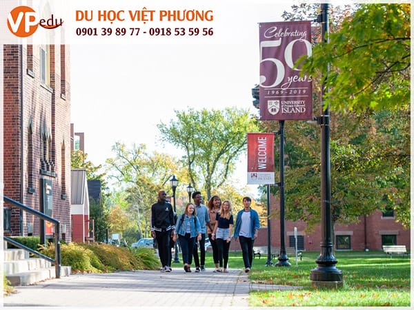 Mb66 không bị chặn MBA, cơ hội định cư Canada diện AIPP thật rộng mở