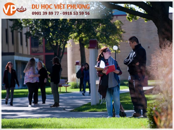 Môi trường học thuật cởi mở và thân thiện